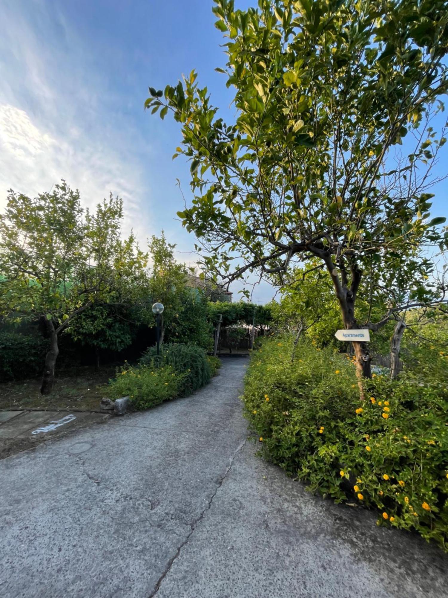 Villa Rosmary Massa Lubrense Zewnętrze zdjęcie