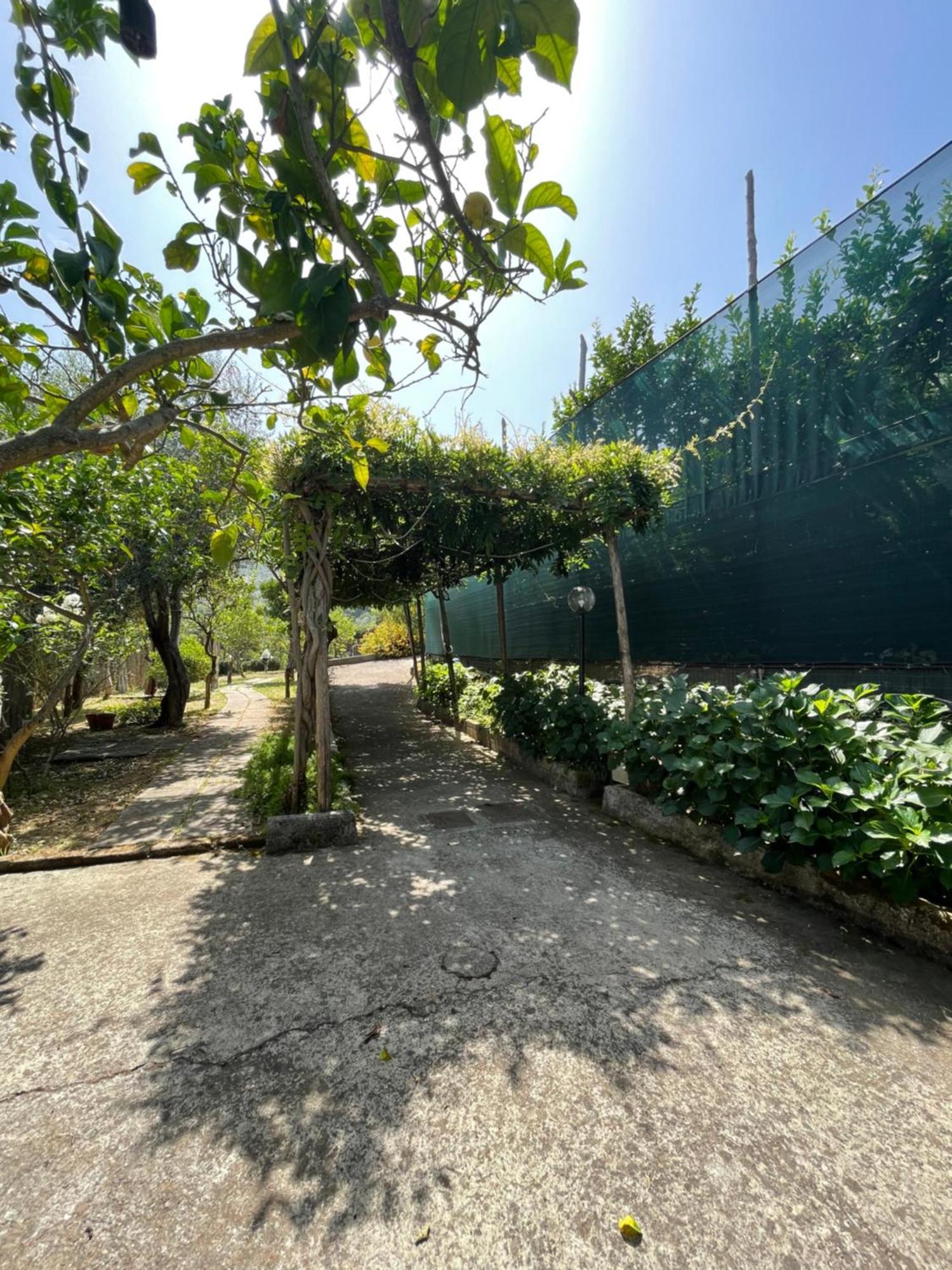 Villa Rosmary Massa Lubrense Zewnętrze zdjęcie